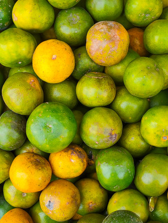 Close up of a pile of green tangerines at the marketの写真素材