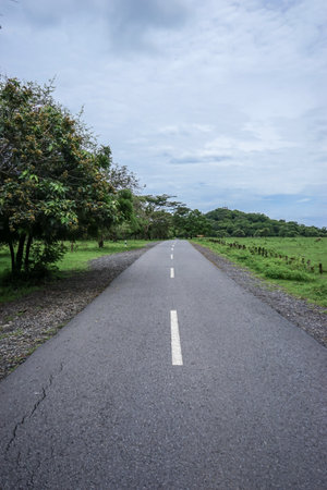 Road in the countryside with cloudy sky background. Road in the countryside.の写真素材