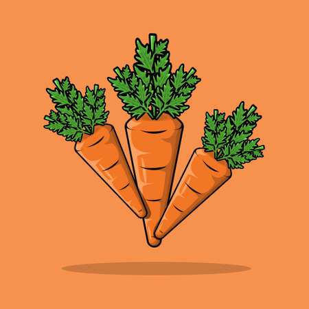 Carrot with leaves vegetables fruit vector illustrationのイラスト素材
