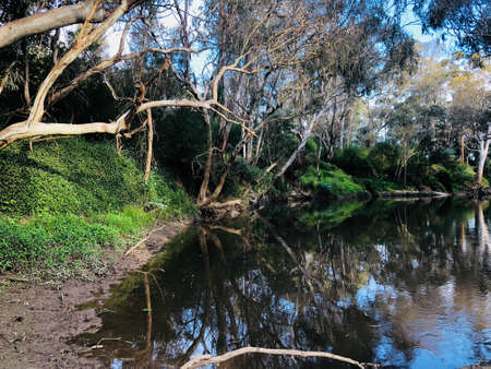 Landscape of the combnation of water and gressの写真素材