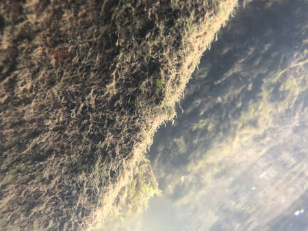 underwater viewの写真素材