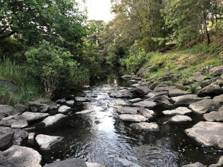 long river in the forestの写真素材