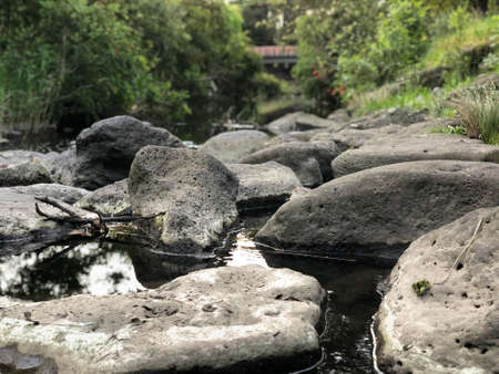 rock with river in the forestの写真素材