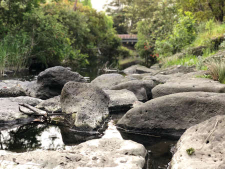 rock in the riverの写真素材