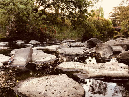 close to the naturalの写真素材