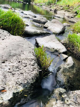 River and rock in the forestの写真素材