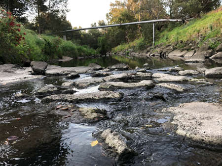 yarra river landscape viewの写真素材