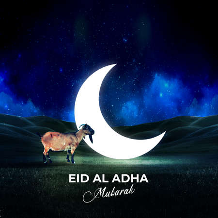 bakrid eid al adha festival greeting background or social media postの写真素材
