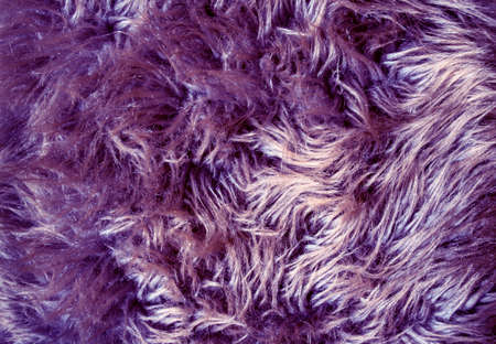 animal fur texture background.の写真素材