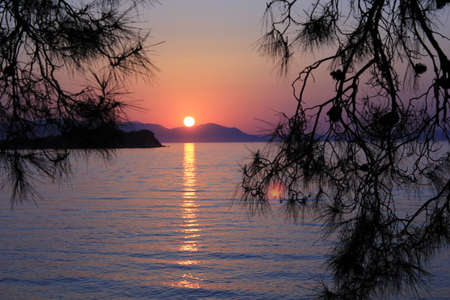 Landscape8の写真素材