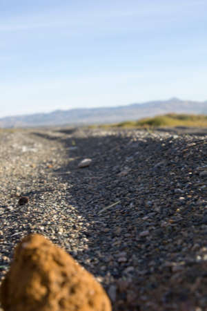 beachの写真素材