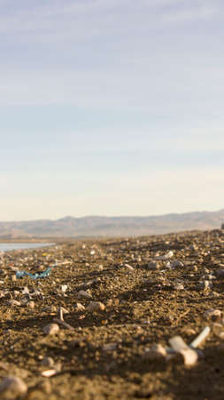 beachの写真素材