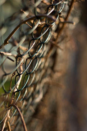 fence