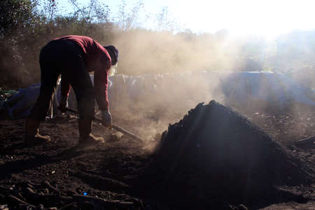 The young manの写真素材