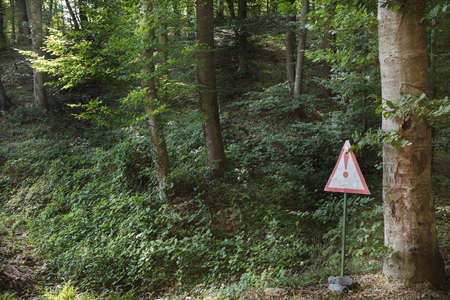 empty signboard in front of an autumn  forestの写真素材