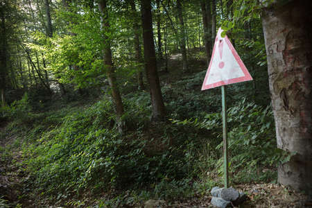 empty signboard in front of an autumn  forestの写真素材