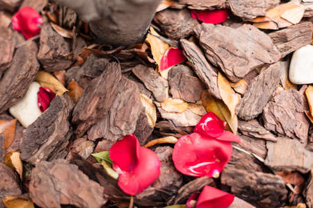Landscape bark and hardwood chips are often used around flowerbeds, trees and shrubs as a mulch material. They add a decorative touch to landscapeの写真素材