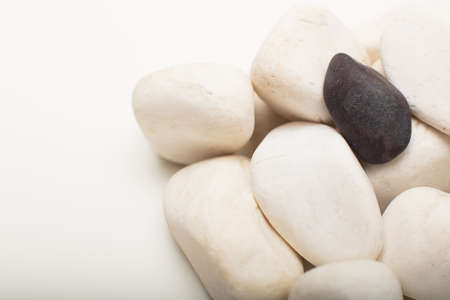 Water washed smooth white pebbles with a single black one on a white background with copy space in a conceptual imageの写真素材