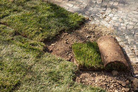 An area of ground will cover with freshly laid grass near granite cobblestone pavementの写真素材