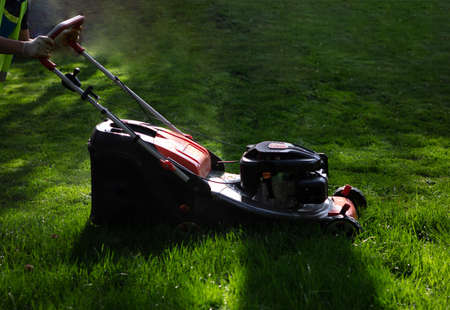 Lawn mower cutting grass. Gardening concept backgroundの写真素材