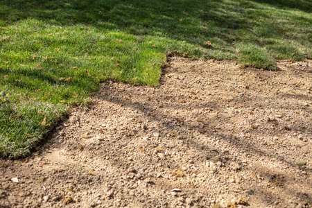 An area of ground will cover with freshly laid grassの写真素材