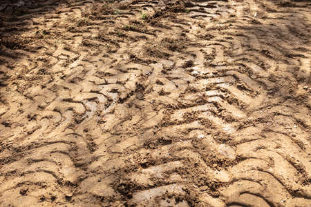 Tire tracks of many vehicle on soil dust road in countrysideの写真素材