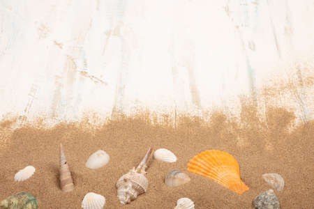 seashells with sand on a blue and white  wooden background. Top view with text areaの写真素材