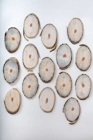 Wooden tree slices with annual rings and texture isolated on white. Circular background with an organic feel.の写真素材