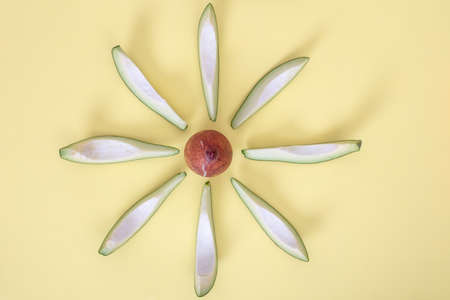 Avocado slices and core  isolated on yellow background with shadows.