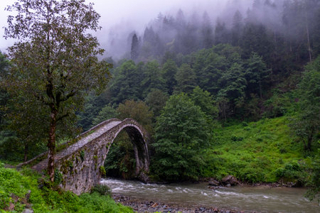Old stone bridge over the river in the foggy forest in the mountains