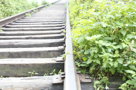 a rails near the grassの写真素材