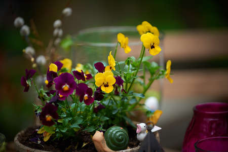 Yellow and purple flowers in an arrangementの写真素材