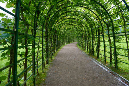 Green gallery - planted arcadeの写真素材