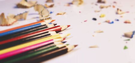 Heap of colorful pencils and shaving on a white background.Concept for business and education.Selective focus with copy space for text.の写真素材