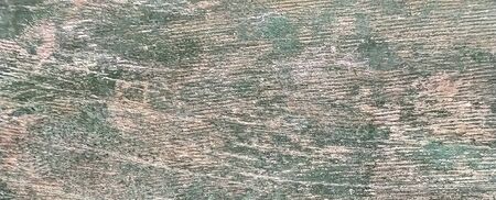 Vintage of rustic mixture color wooden for background texture . Timber, surface.Old Wooden Planks Backgroundの写真素材