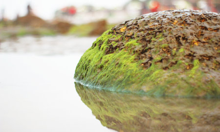 Side view of coral rock shadow on water with selective focus blurry background .の写真素材