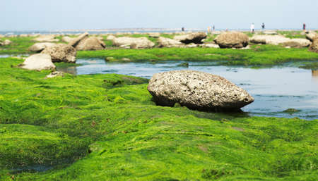Little water cave coral green grassy sea beach view .