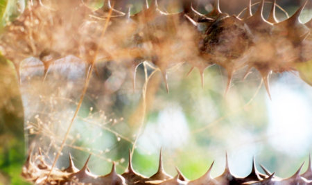 Abstract texture blurry defocused bokeh background.Concept for graphic design natural resource.の写真素材