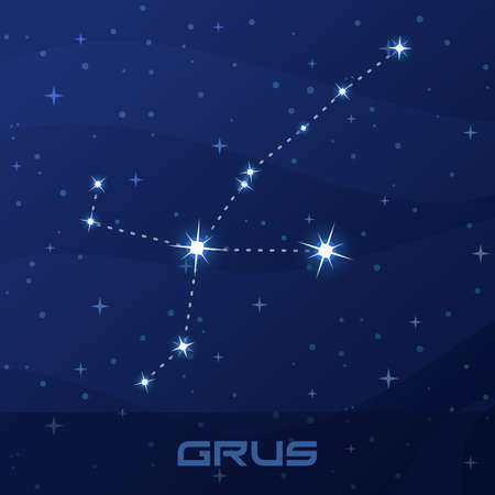 Constellation Grus, Crane, night star skyのイラスト素材