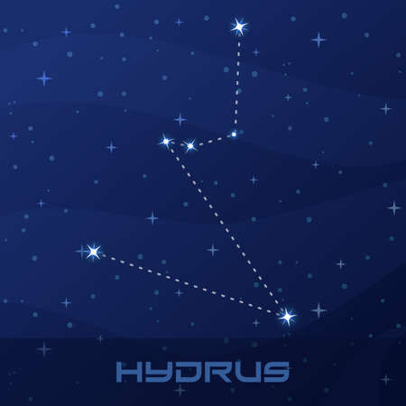 Constellation Hydrus, Water Snakeのイラスト素材