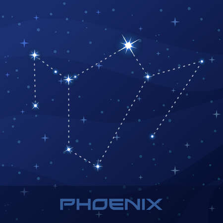 Constellation Phoenix, night star sky poster, flyer advertisementのイラスト素材