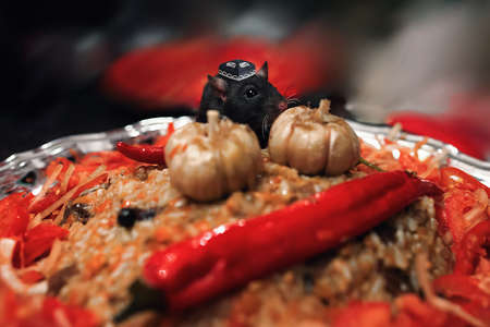 rat in the skull cap try Pilafの写真素材