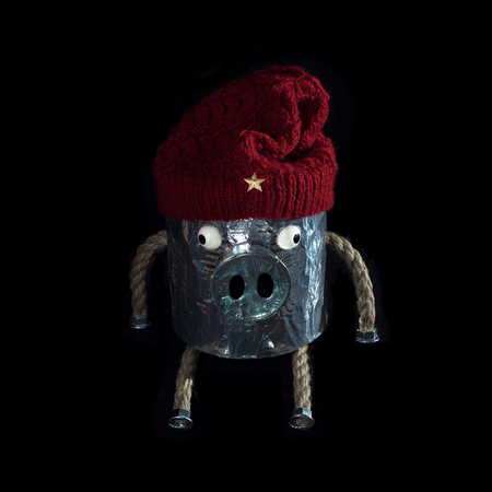 DIY pig in hat with star on black backgroundの写真素材