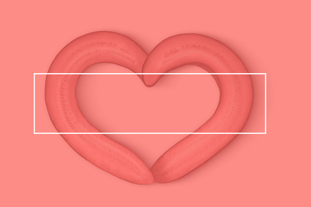 living coral heart of cucumber with frame for signature cardsの写真素材