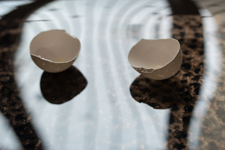 broken egg with yolk, protein and shell on leopard skin with reflection