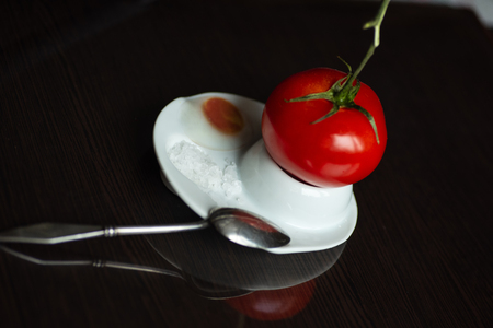 a bright red tomato on a branch hatched from an egg on dark backgroundの写真素材