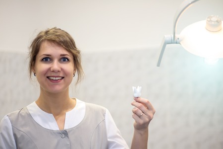 reception in the office of the dentist, the doctor shows the training toothの写真素材