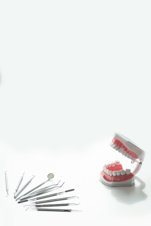 a various dental tools laid out flatlay on a light background