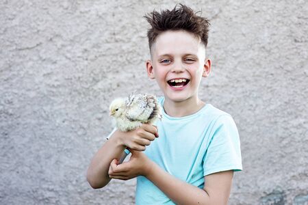 boy in blue t-shirt with fluffy chicken laughing on blurred backgroundの写真素材