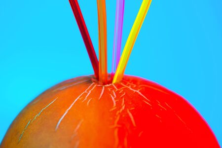 bright colored cocktail tubes stuck in a melon on a blue background
